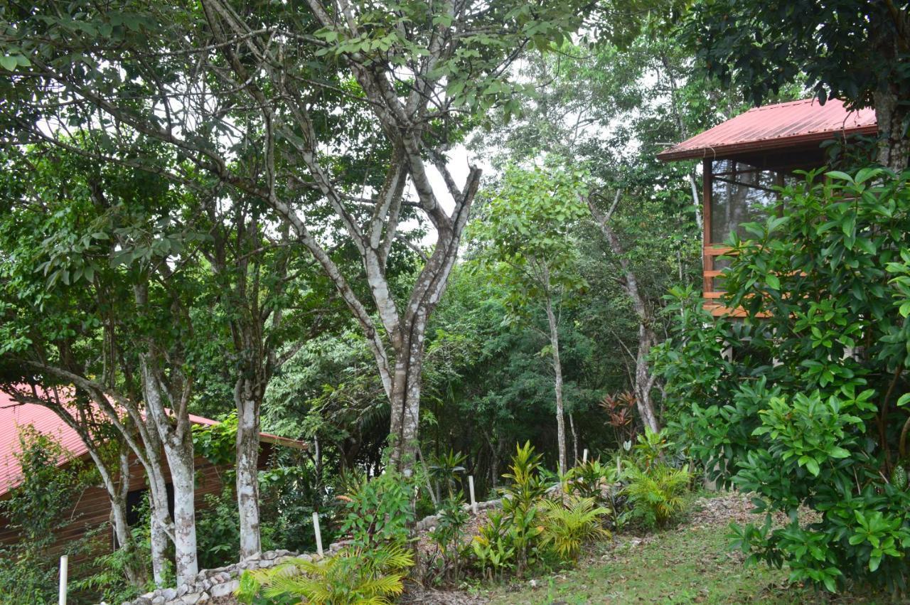 Santa Cruz Cabins Santa Elena Exterior foto